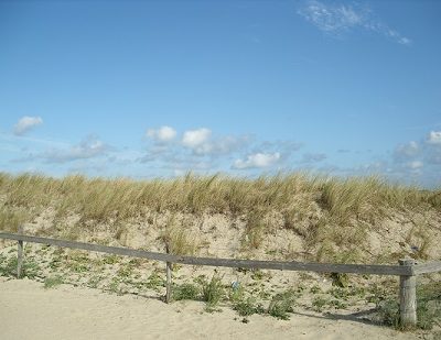 Texel3 Texel3